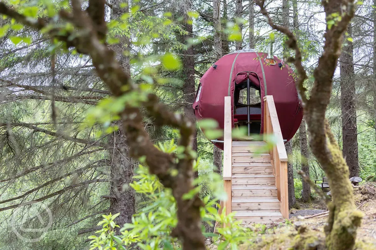 The Tree Tent