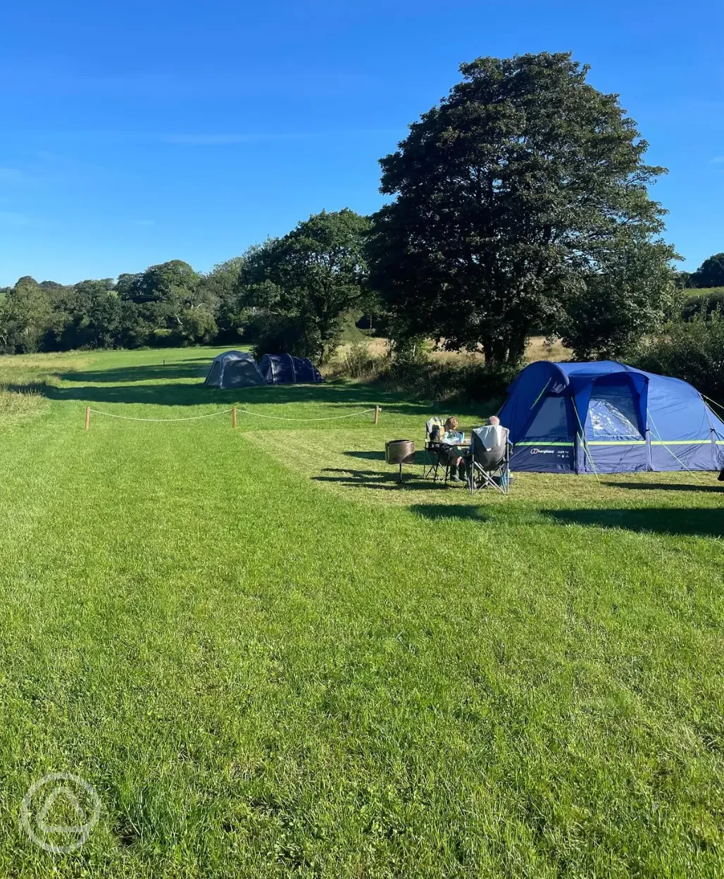 Grass pitches