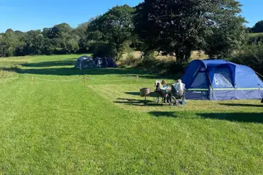 Grass pitches