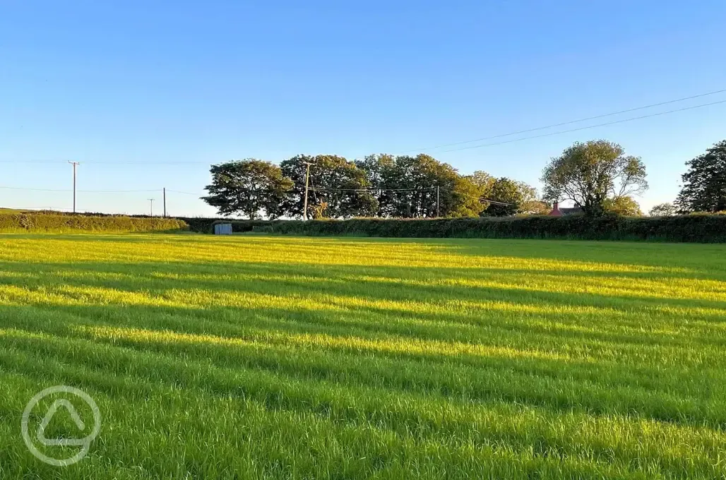 Grass pitches