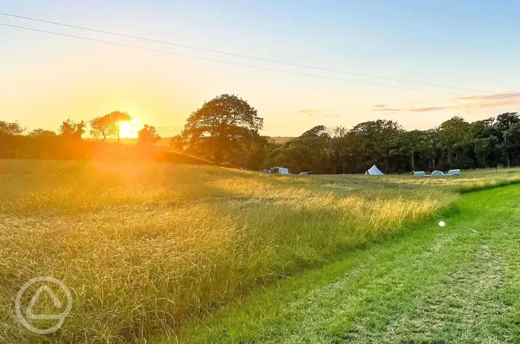 Grass pitches at sunset