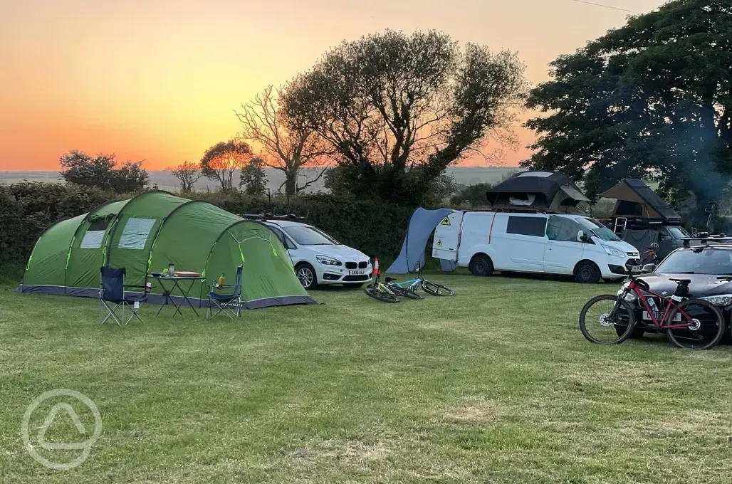 Electric grass pitches at sunset