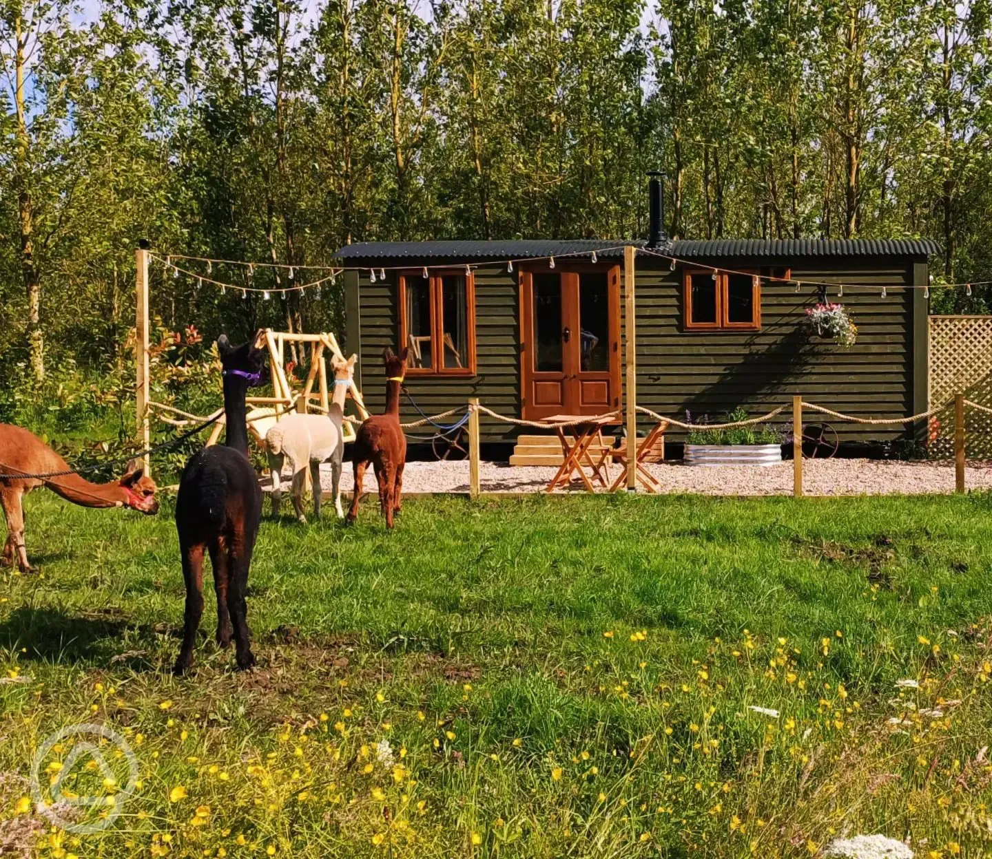 Botanist shepherd's hut