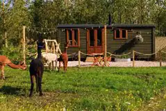 Botanist shepherd's hut