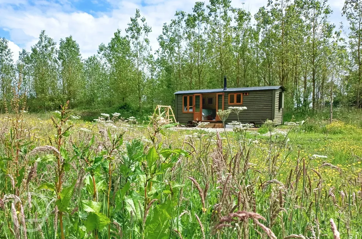 Botanist shepherd's hut exterior 