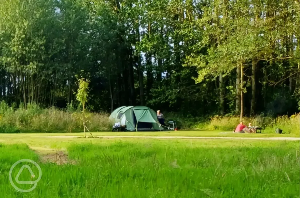 Non electric grass tent pitches