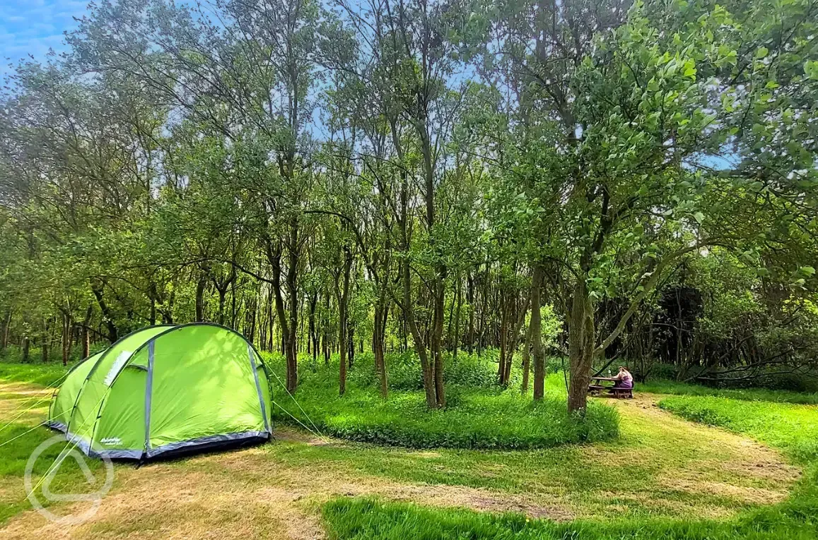 Non electric grass tent pitches
