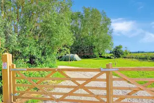 The Darling Woods of May, Pocklington, East Yorkshire