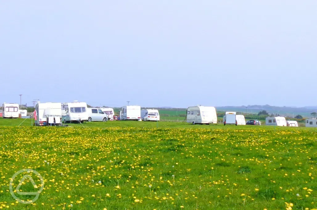 Non electric grass pitches