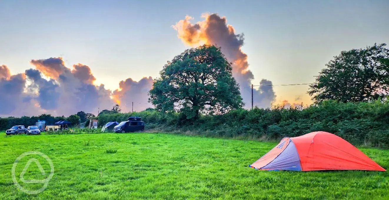 Non electric grass pitches at sunset