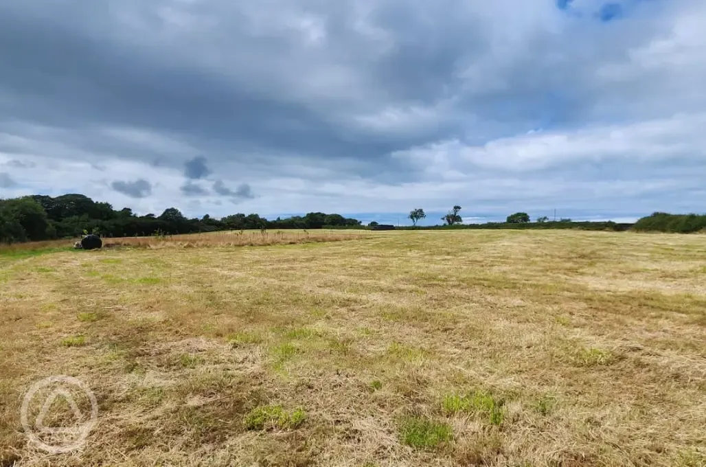 Non electric grass pitches