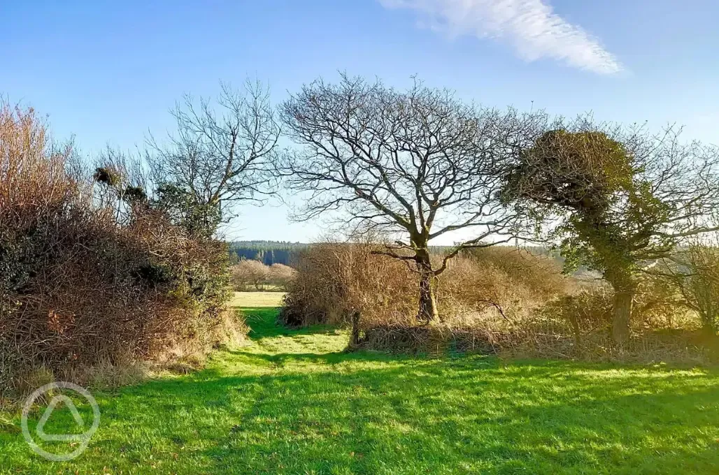 Countryside surroundings