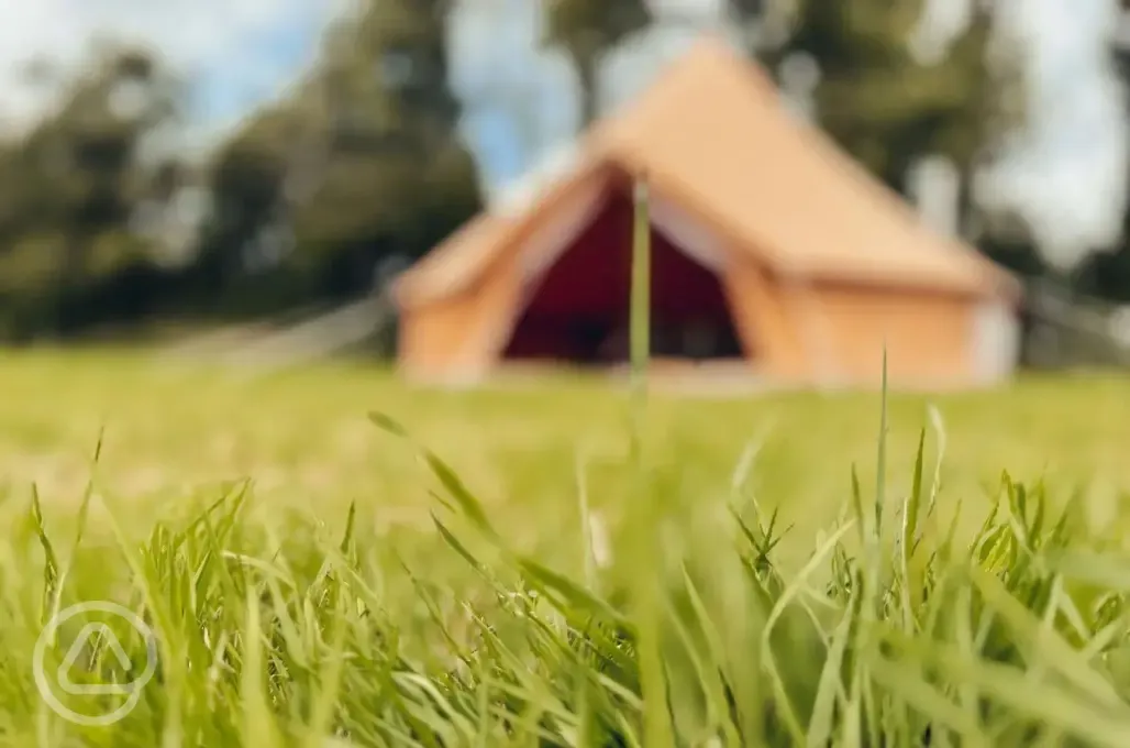 Bell tent