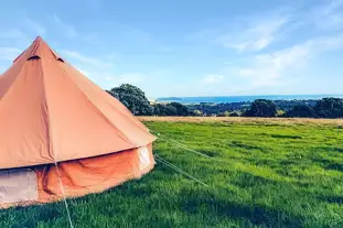 Boscoppa Farm Glamping and Camping , St Austell, Cornwall (11.8 miles)