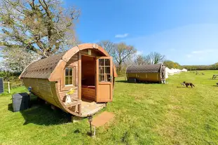 Boscoppa Farm Glamping and Camping, St Austell, Cornwall Boscoppa Farm Glamping and Camping, St Austell, Cornwall