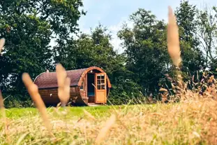 Boscoppa Farm Glamping and Camping , St Austell, Cornwall (9.8 miles)