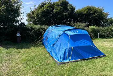 Grass pitches with optional electric