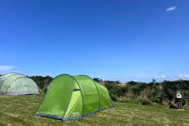 Grass pitches with optional electric