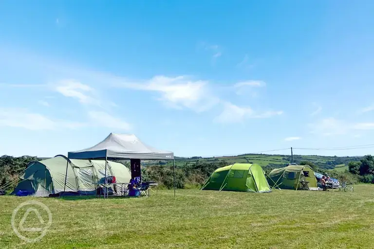 Grass pitches