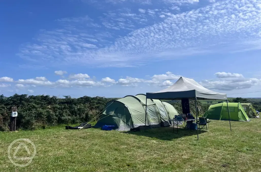 Grass pitches with optional electric