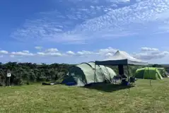 Grass pitches with optional electric