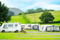 Electric hardstanding and grass touring pitches (5m x 10m) Electric hardstanding and grass touring pitches (5m x 10m)