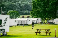 Electric grass pitches with 16 amp hooks ups (8m x 10m)