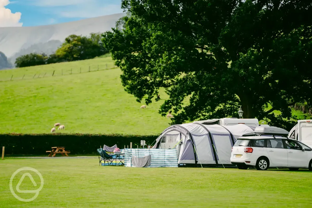 Electric grass tent pitches