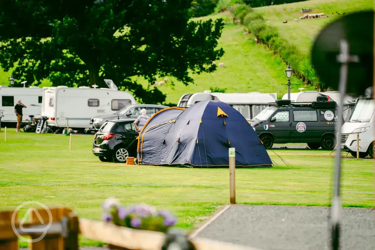 Electric grass tent pitches