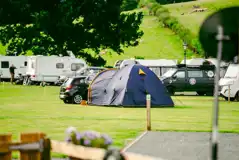 Electric grass tent pitches