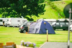 Electric grass tent pitches with 16 amp hooks ups (8m x 10m) Electric grass tent pitches with 16 amp hooks ups (8m x 10m)