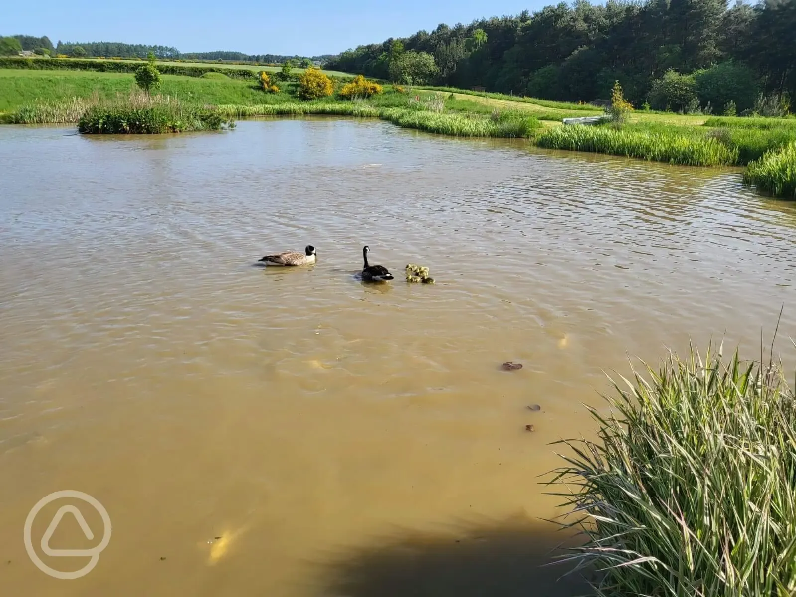 Onsite fishing pond