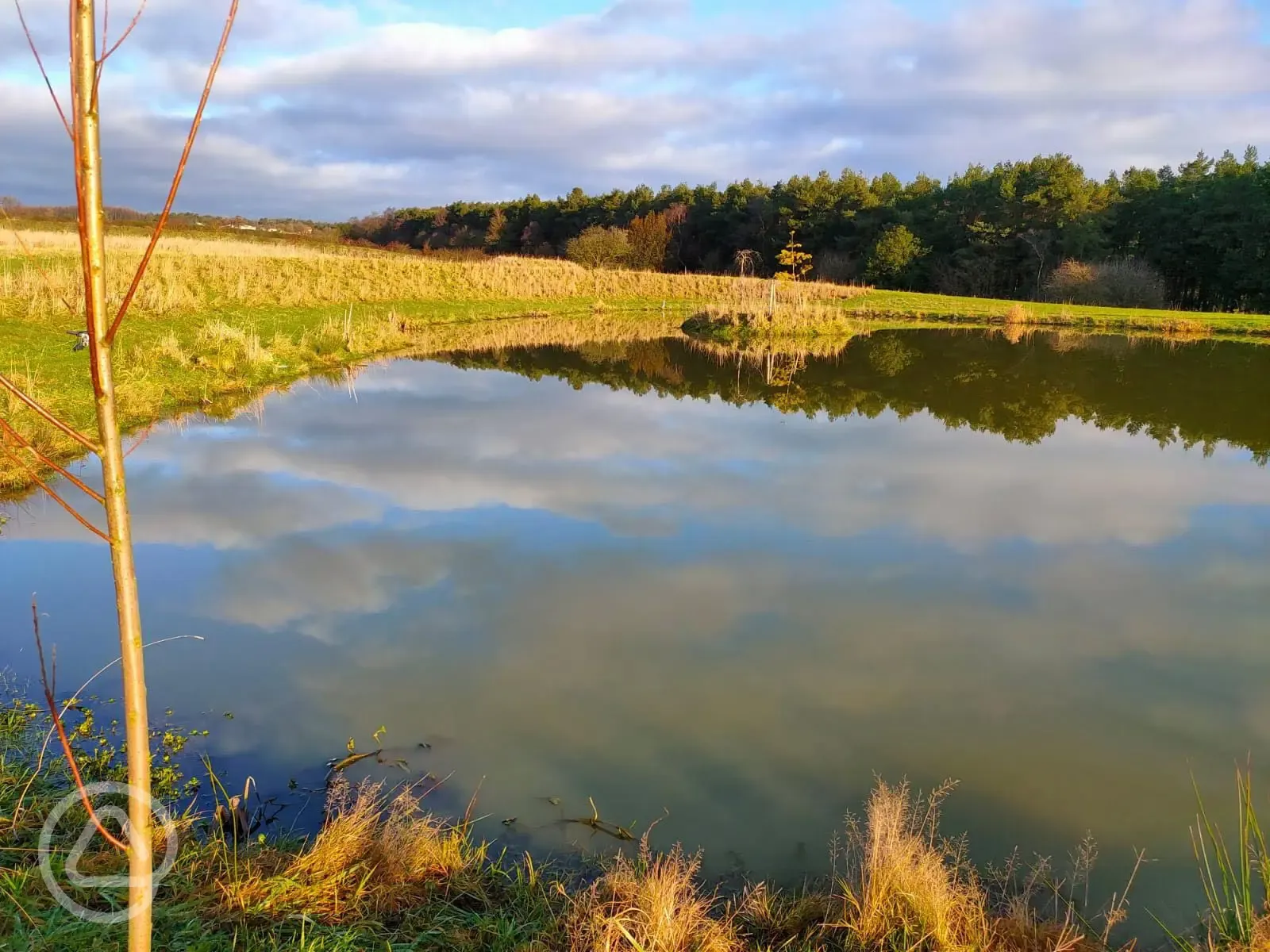 Onsite fishing pond