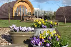 Ensuite glamping pod in the Spring
