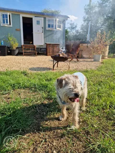 Ensuite shepherd's hut - dog friendly