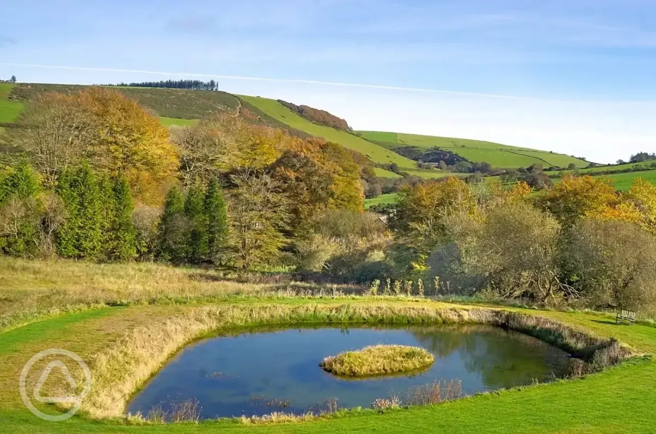 Pond views