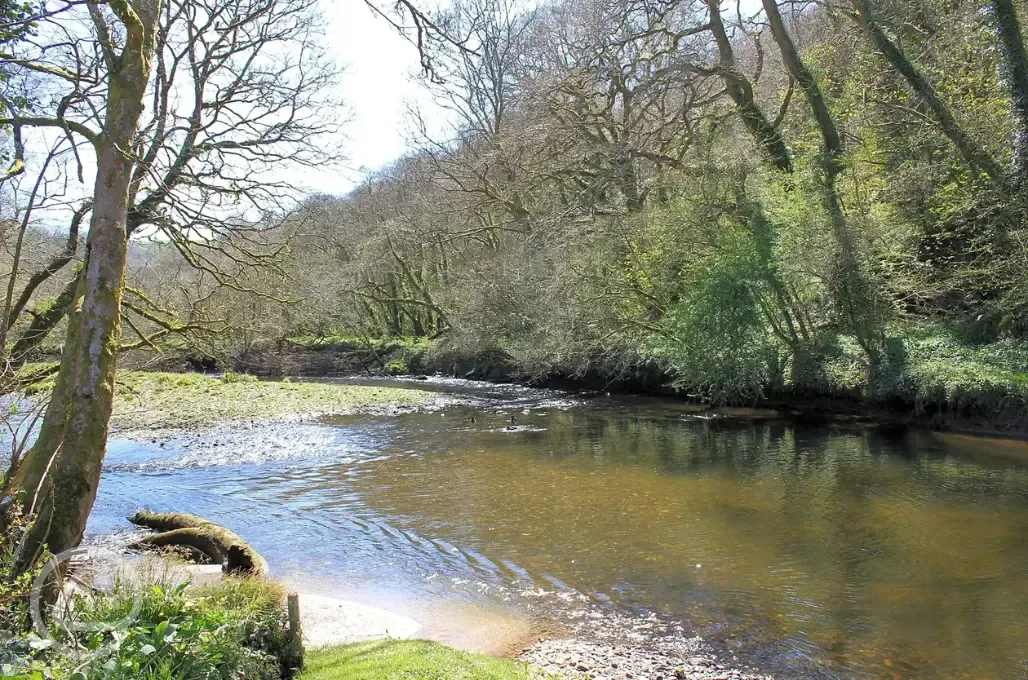 River Lynher 