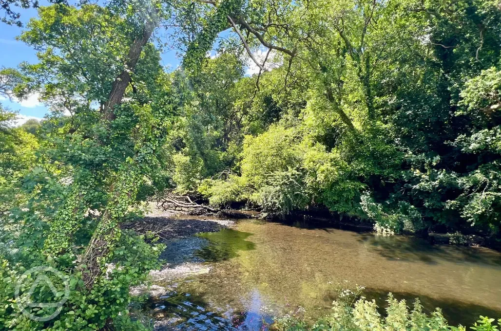 River Lynher 