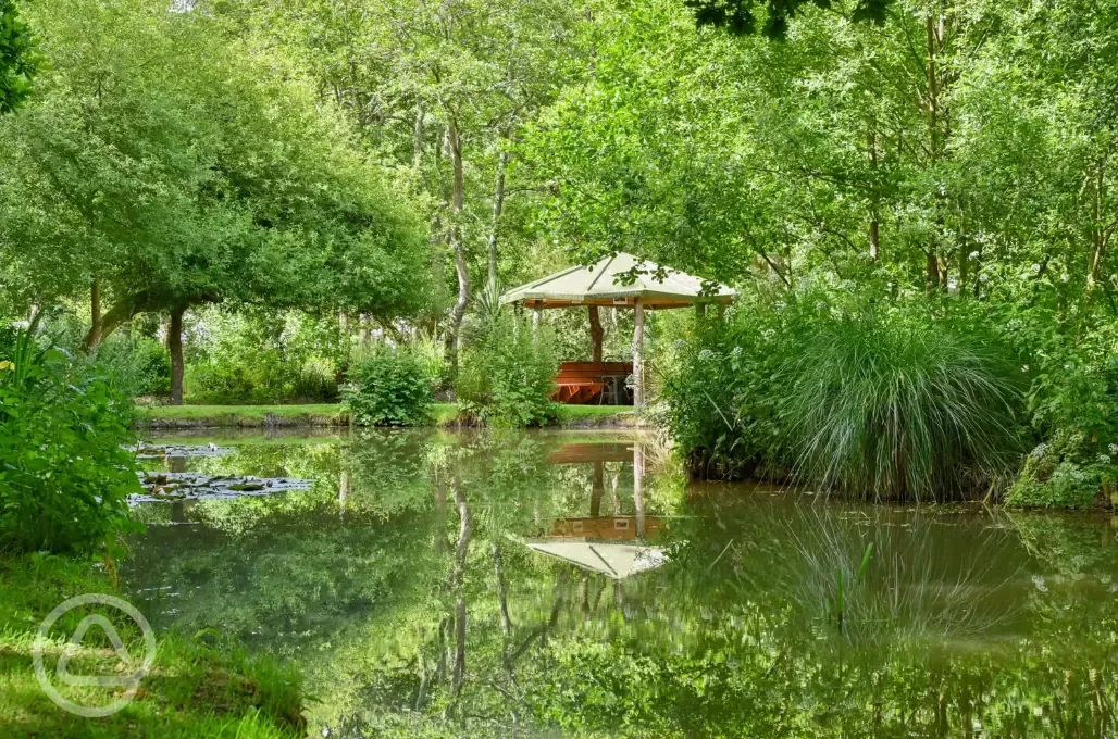 Nature pond