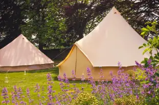 Edinburgh Festival Glamping, Edinburgh, Edinburgh and the Lothians