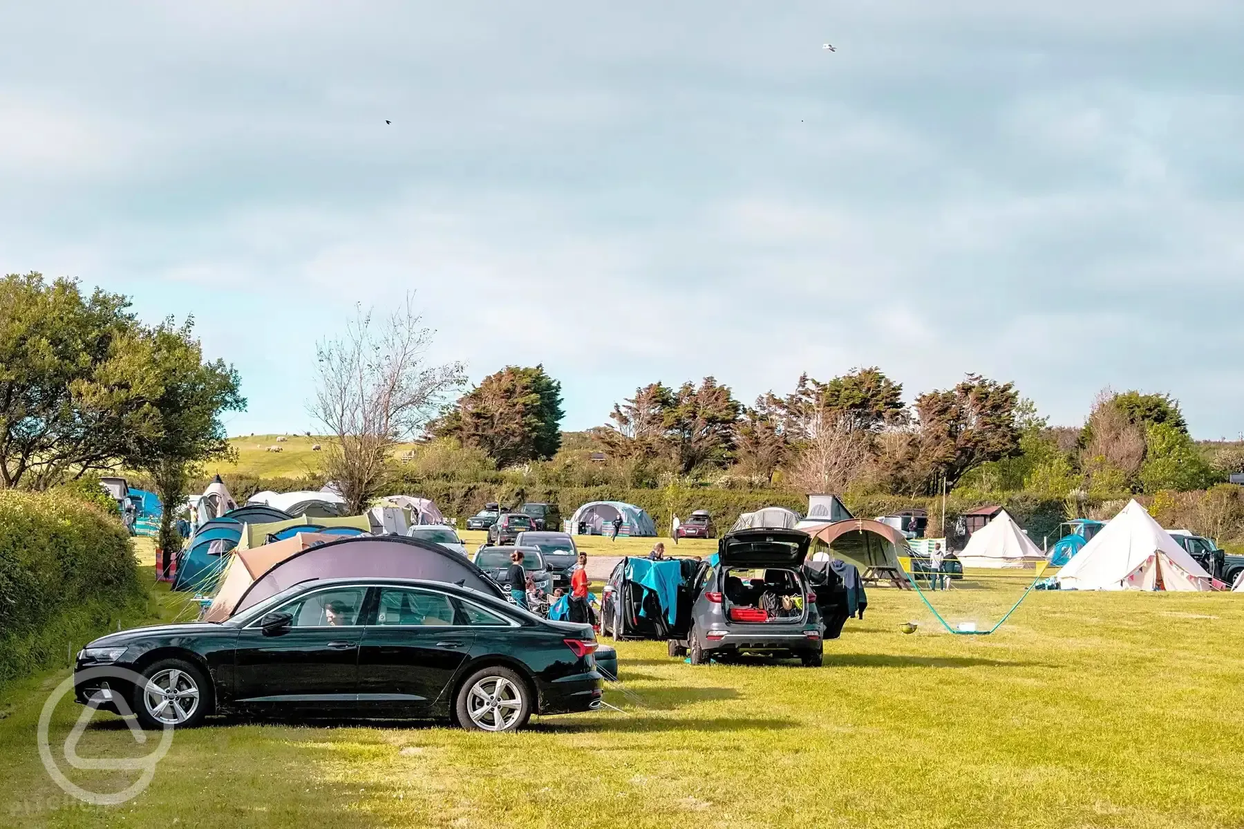 Non electric grass pitches