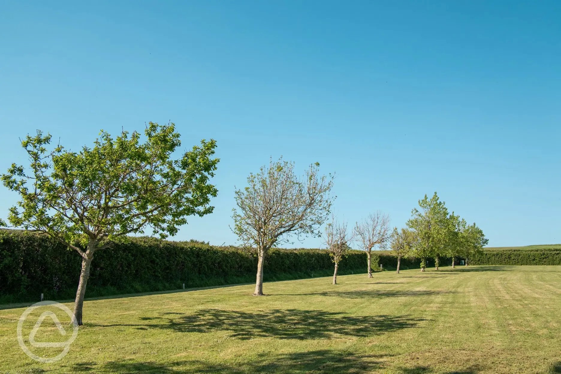 Non electric grass pitches