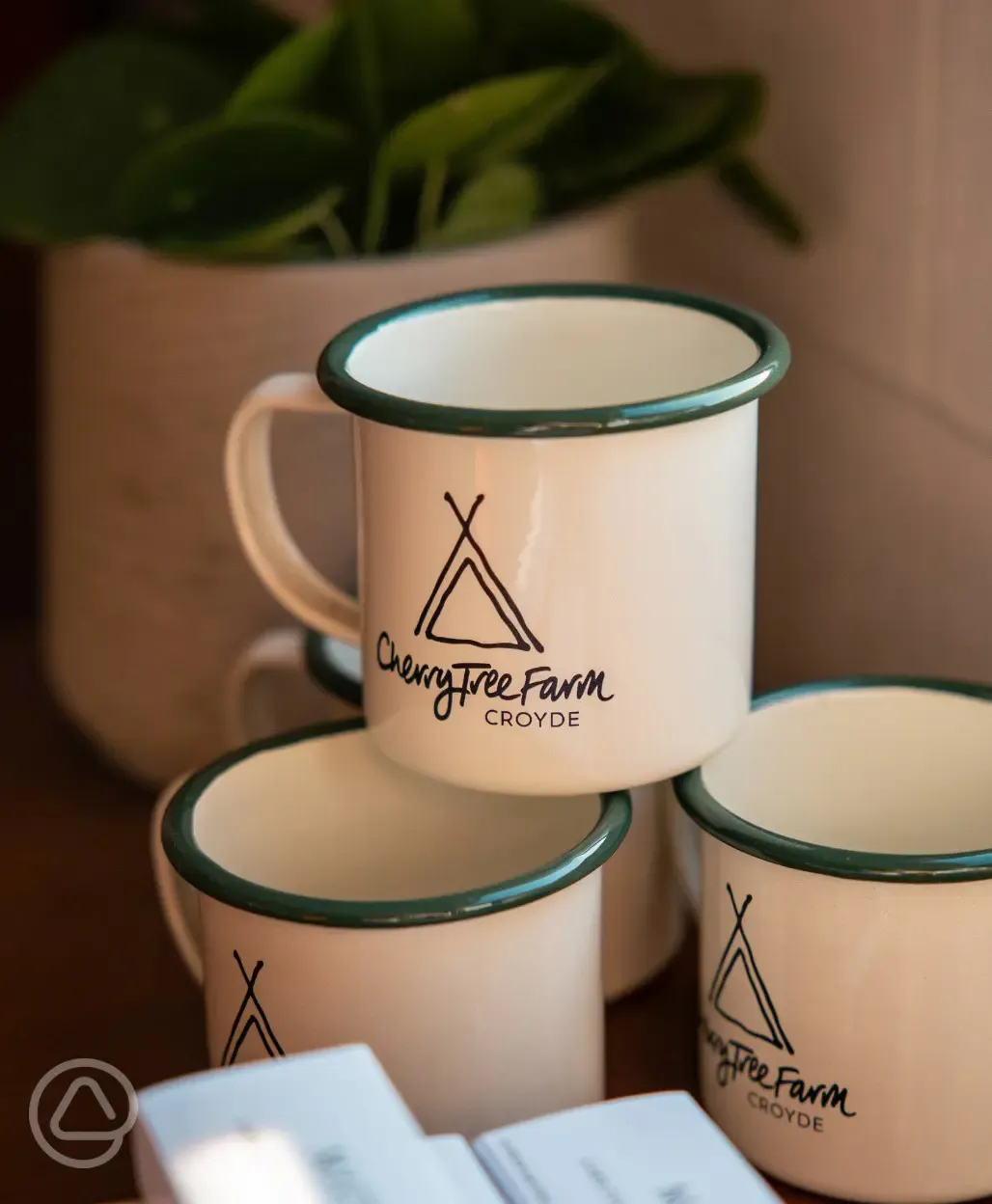 Site merchandise 