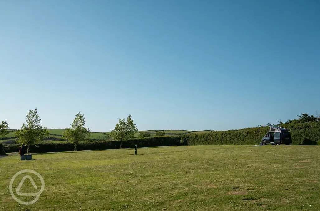Electric grass pitches