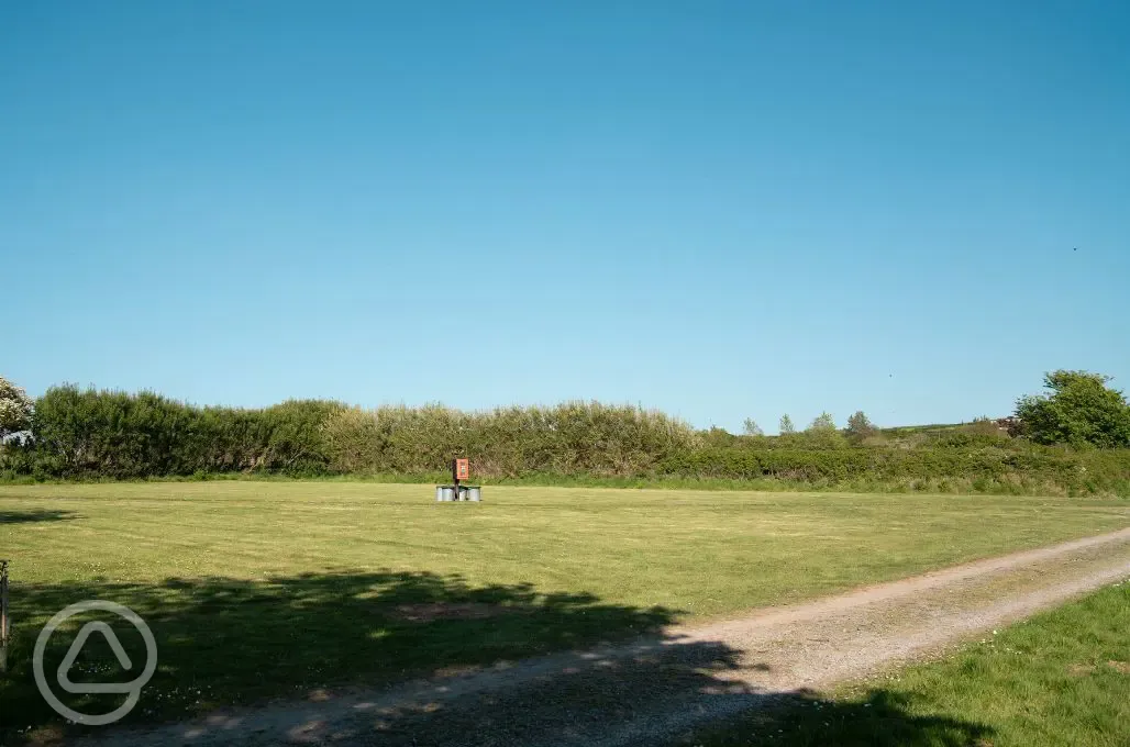 Non electric grass pitches