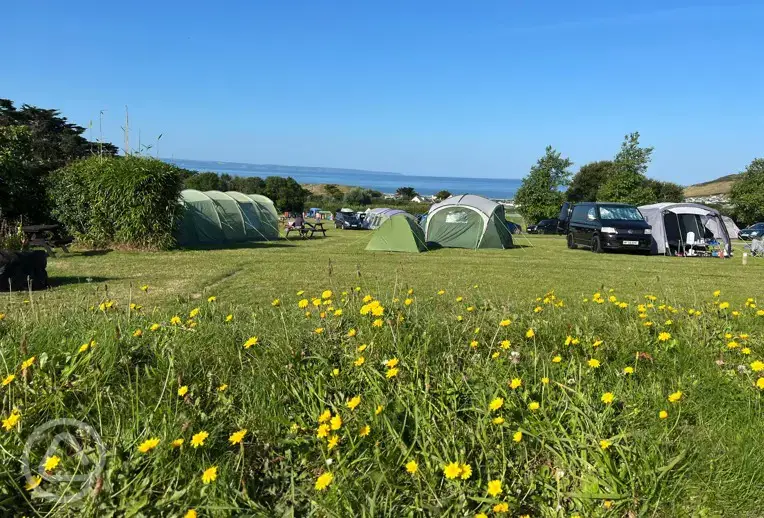 Non electric grass pitches
