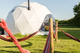 Tractors and Cream Glamping, Othery, Bridgwater , Somerset (6 miles)