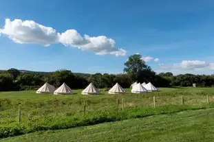 Ditchling Camping, Ditchling, Hassocks, East Sussex (11.1 miles)