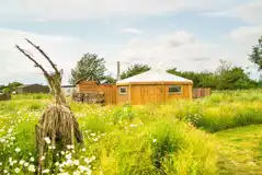 Exterior view of Magog, Little Trees, and Wandlebury Timber tents