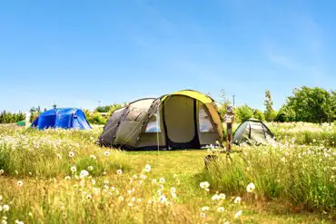 Wild non electric grass tent pitches at Hatters Meadow